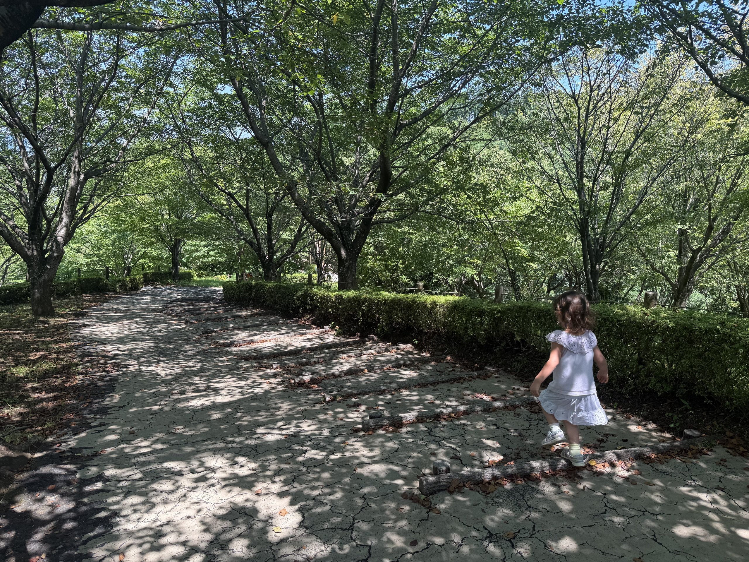 A small child in white walking along a shaded path beneath leafy trees.