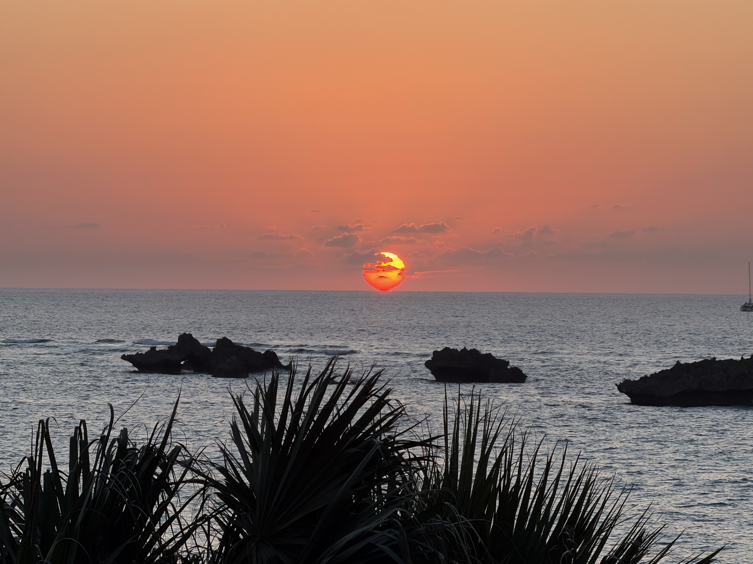 The sun sets over the sea behind rocks and silhouetted plants.