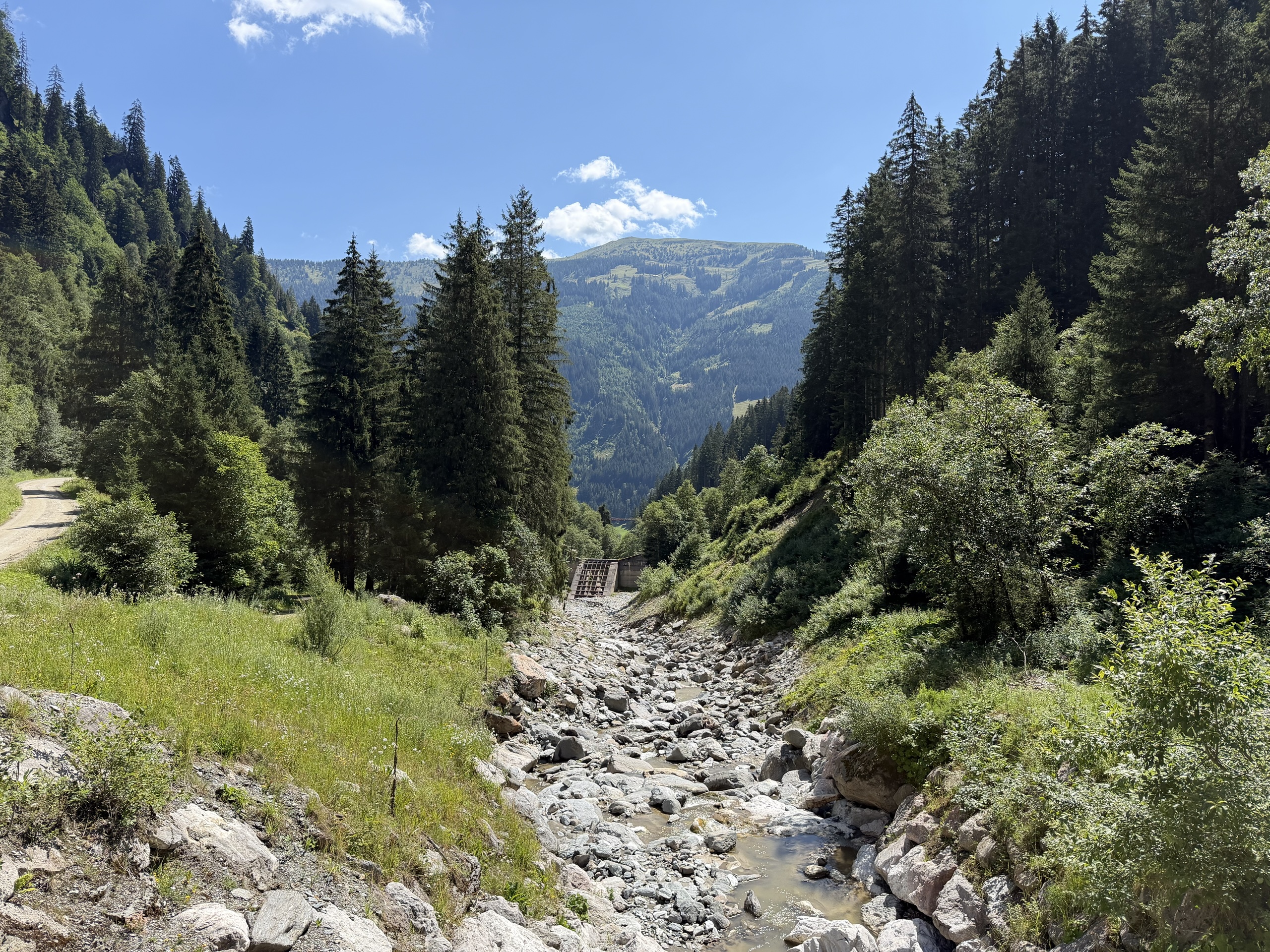 A rocky stream runs through a forested mountain valley beneath a blue sky.