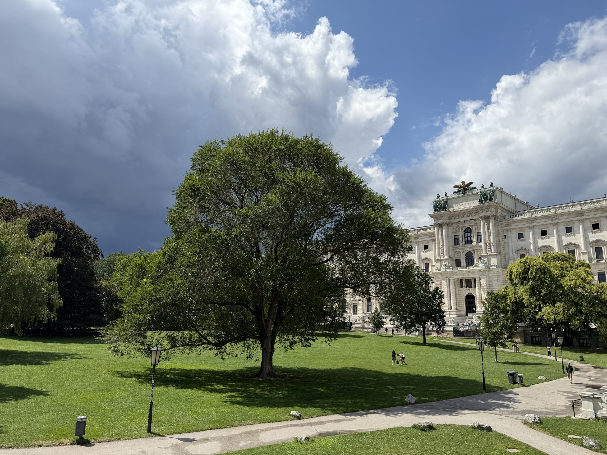 A large tree on a green lawn beside an ornate white building under dramatic clouds.