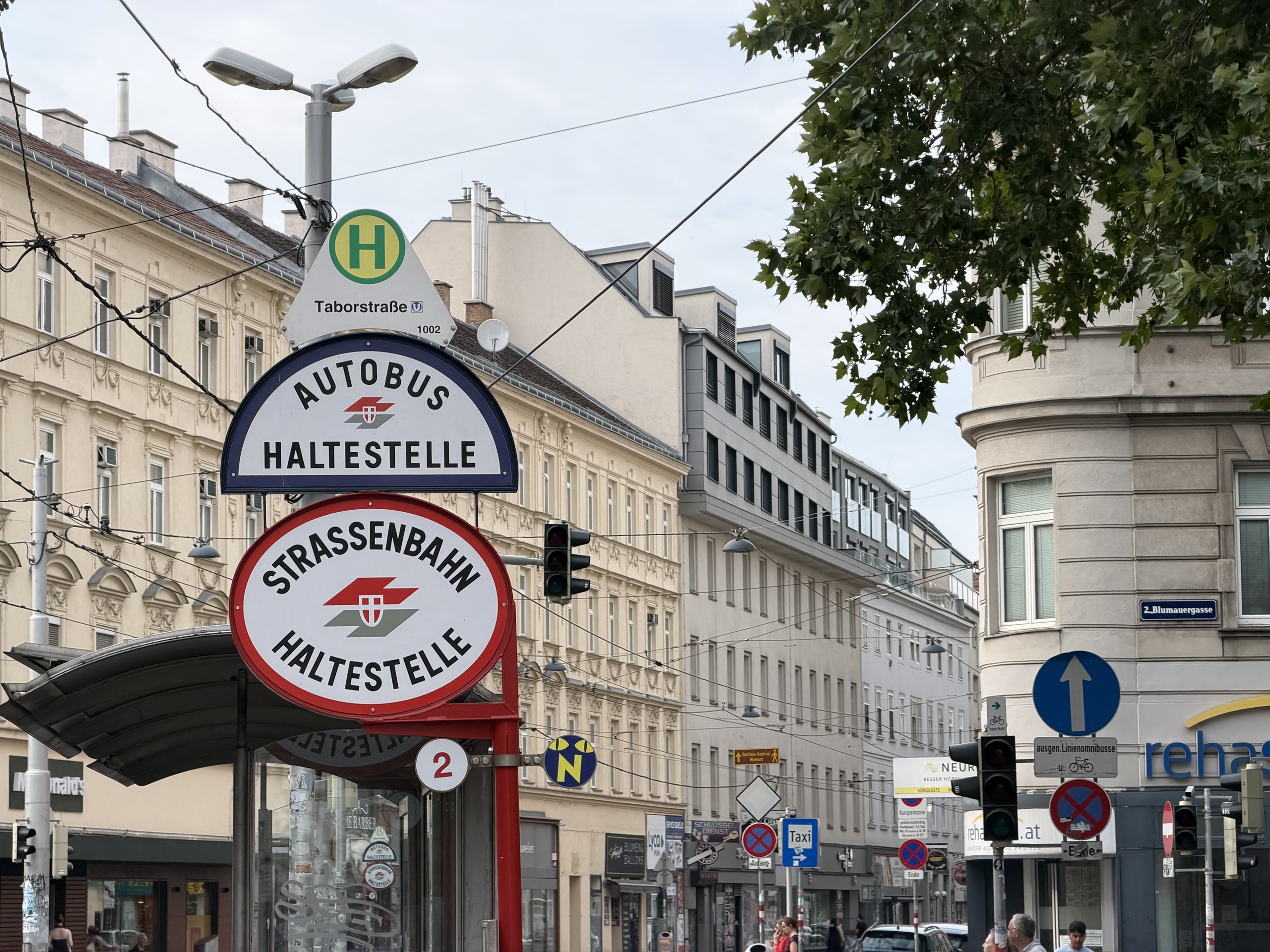 A cluster of transit signs and overhead wires in front of city buildings.